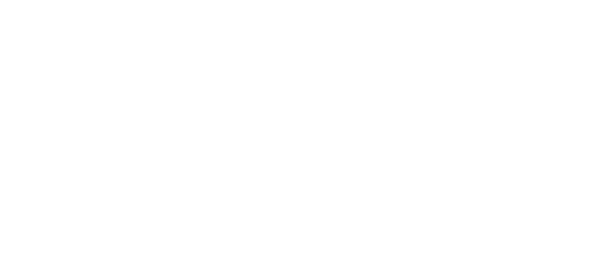 Wiseled