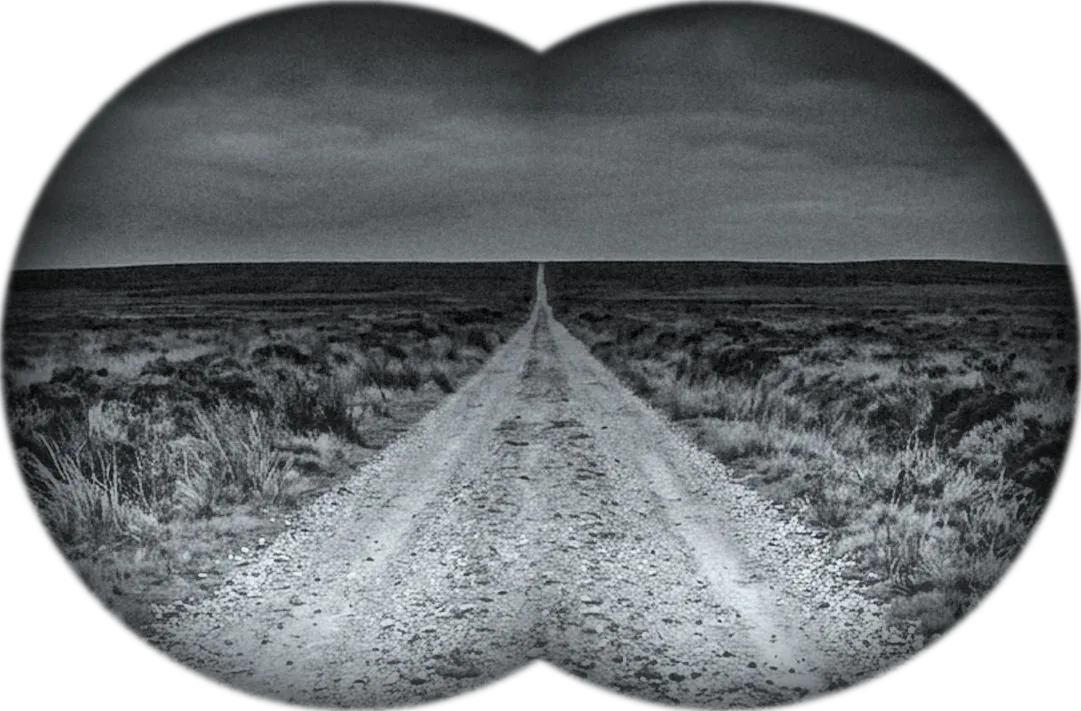 Night vision goggle view with the DVE-01 driver vision enhancement system: road surface and track edges visible